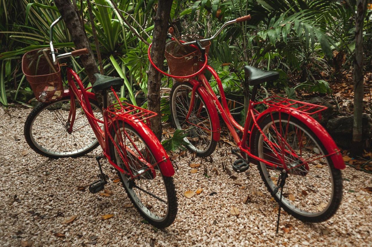 Casa Coyote Tulum Hotel Kültér fotó